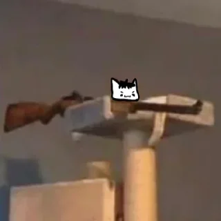 😼
