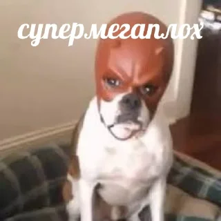 🤢