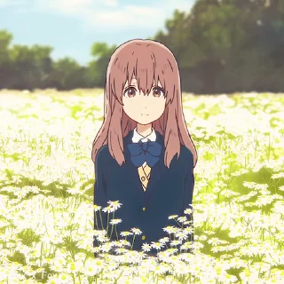 ❌
