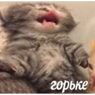 😭