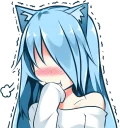 😽