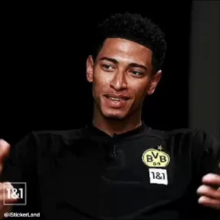 🤍