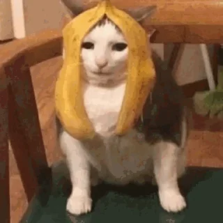 👱‍♀️