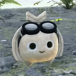 ✨