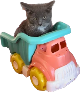 🚚