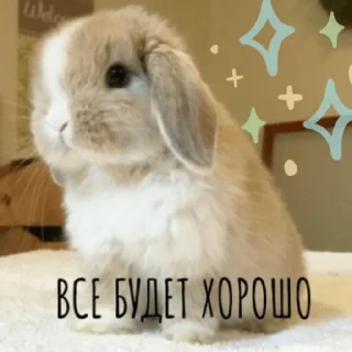 🧚
