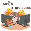 🧑‍💻