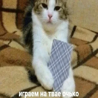 😏