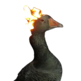 🔥
