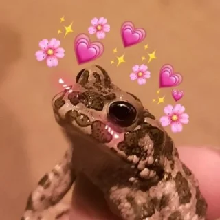 😳