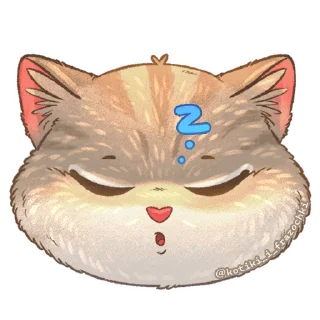 😴