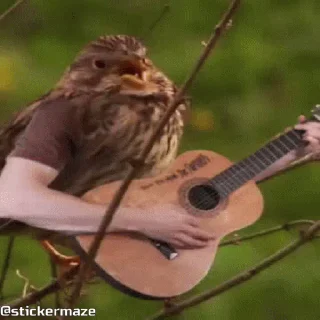 🎸