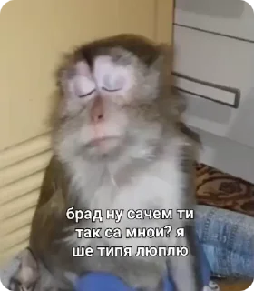 🥺