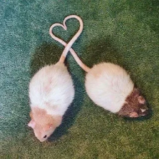 ❤️