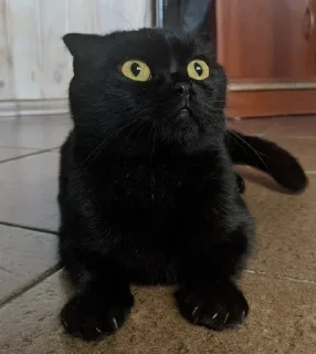 😳