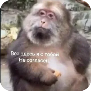🙂