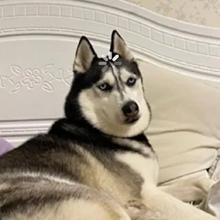 🥴