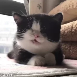 😛