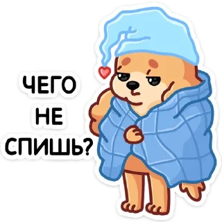 😴