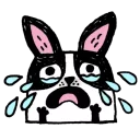 😢