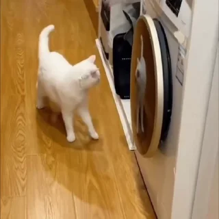 😨