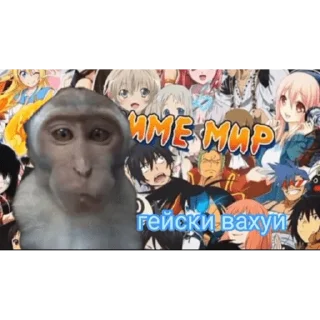 🐵