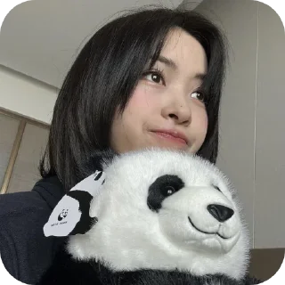 🐼