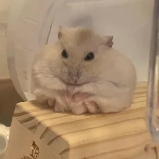 🙂