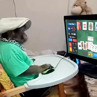 🙈