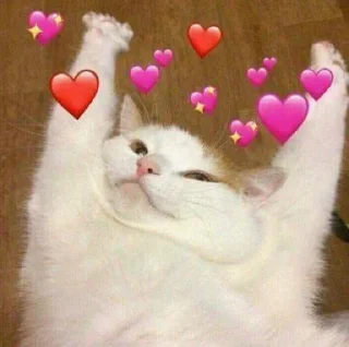 💖