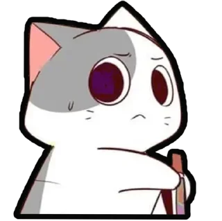 🐈