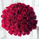 🌹