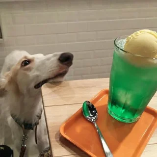 🥄