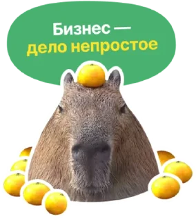 Бизнес.Поколение @rosmolodezh_business