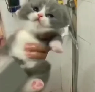 💋