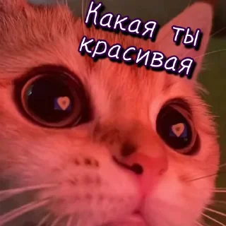 😍