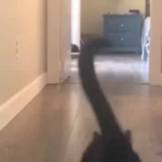 🏃‍♀
