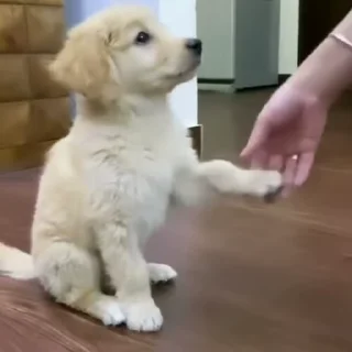👋
