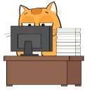 🐱