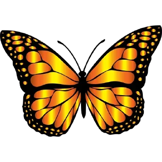 🦋