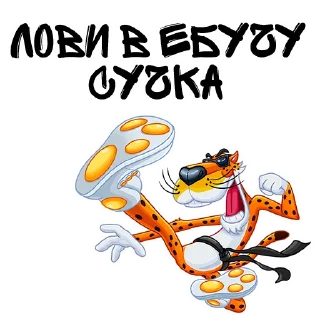 🥋