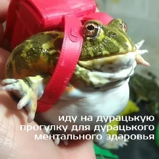 😡