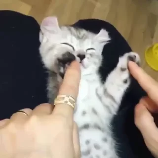 😆
