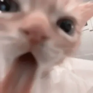 😋