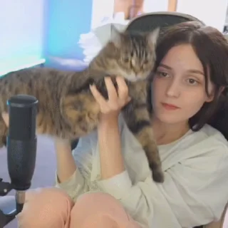 ✈️