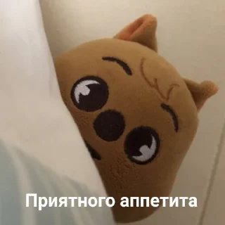 🤍
