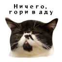 👹