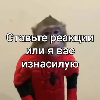 🙈