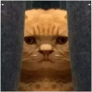 👀