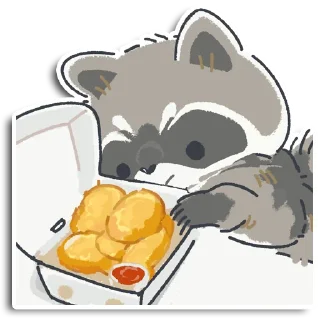 🦝